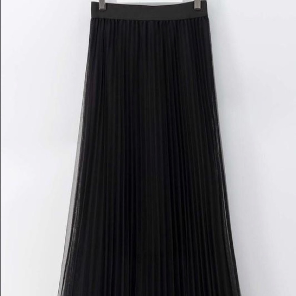Shear Pleated Skirt